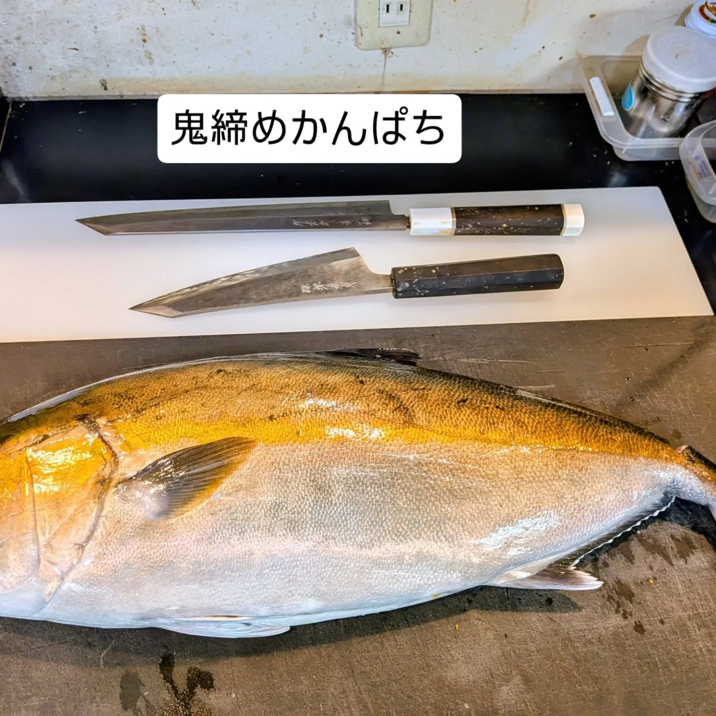 大和肉鶏　櫻原