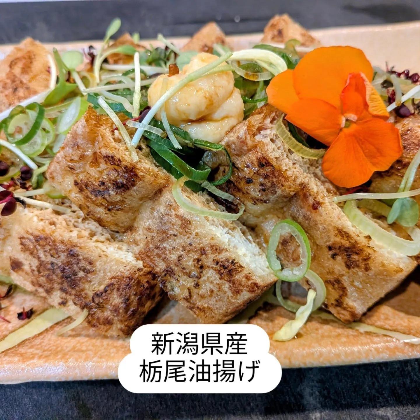 大和肉鶏　櫻原