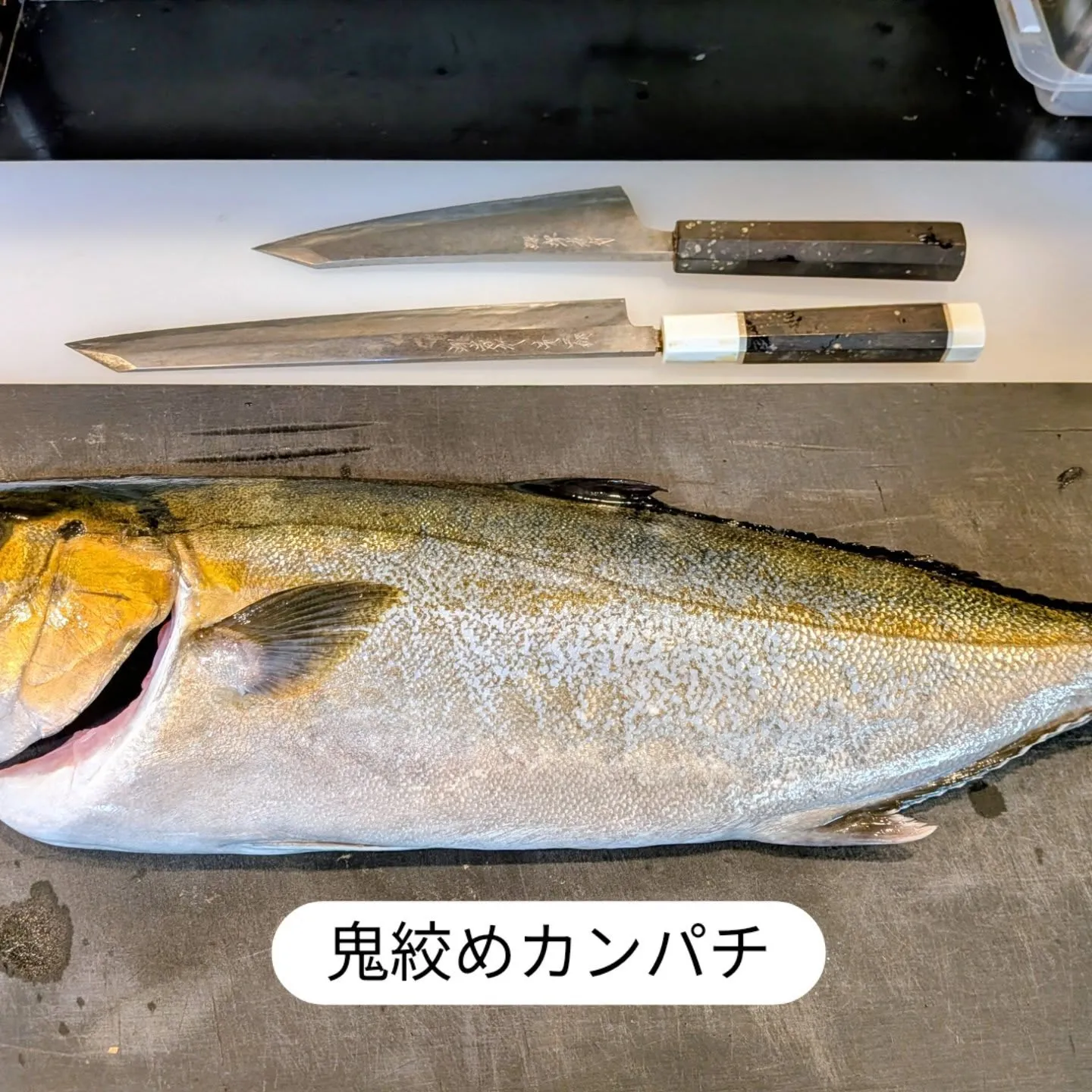 大和肉鶏　櫻原