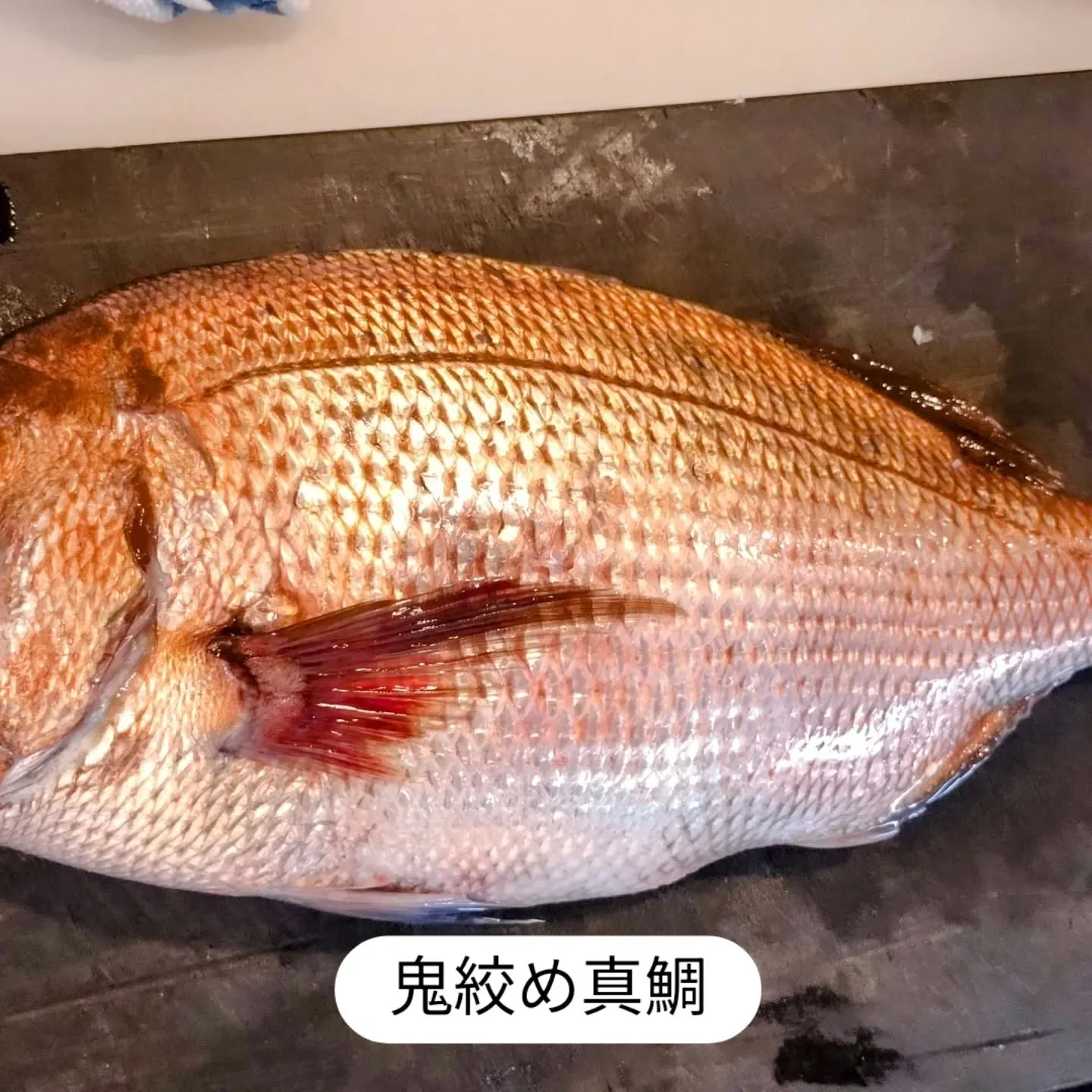 大和肉鶏　櫻原