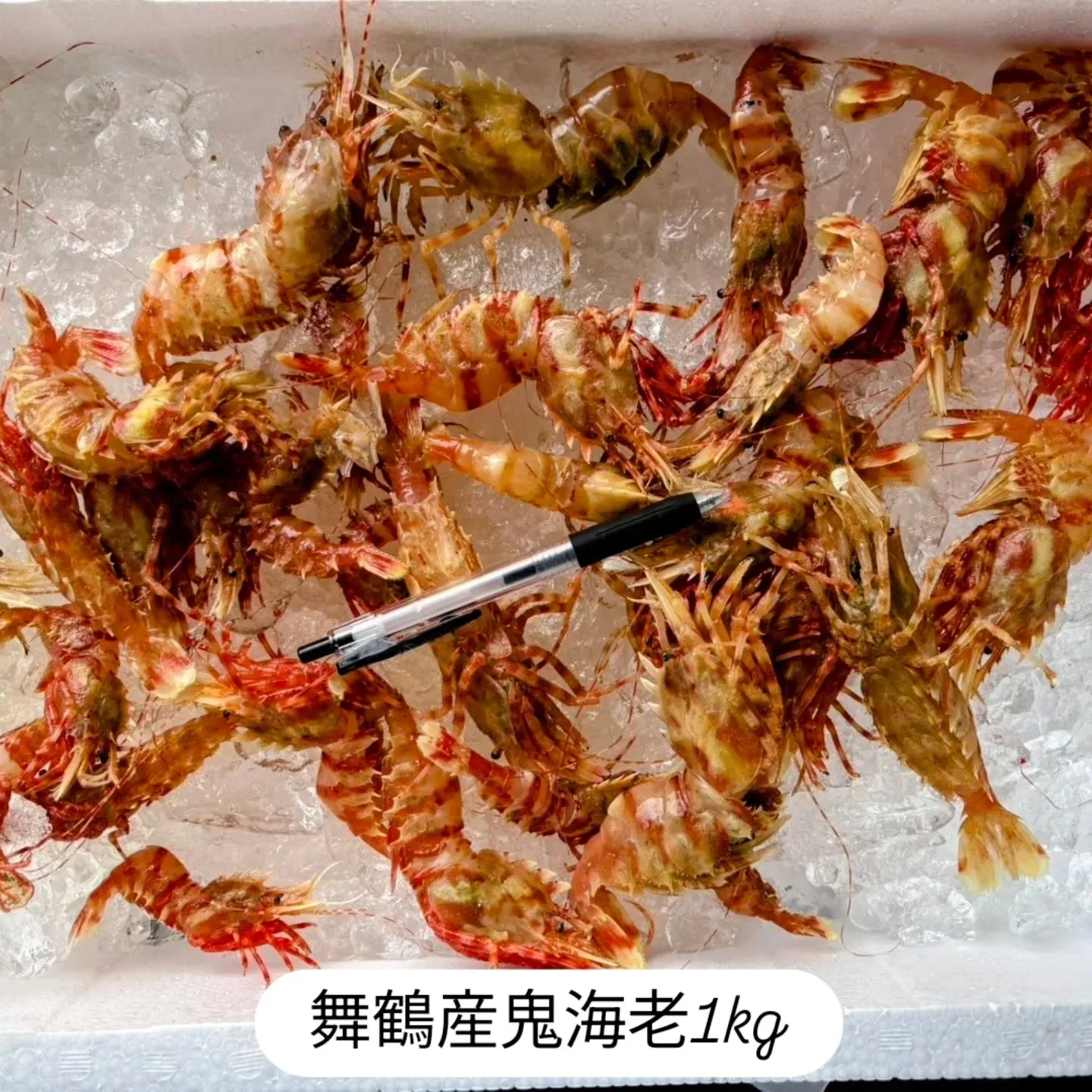 大和肉鶏　櫻原