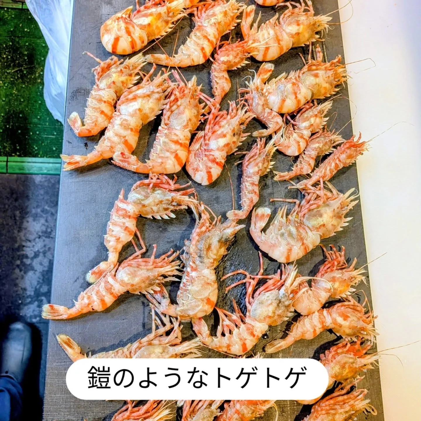 大和肉鶏　櫻原