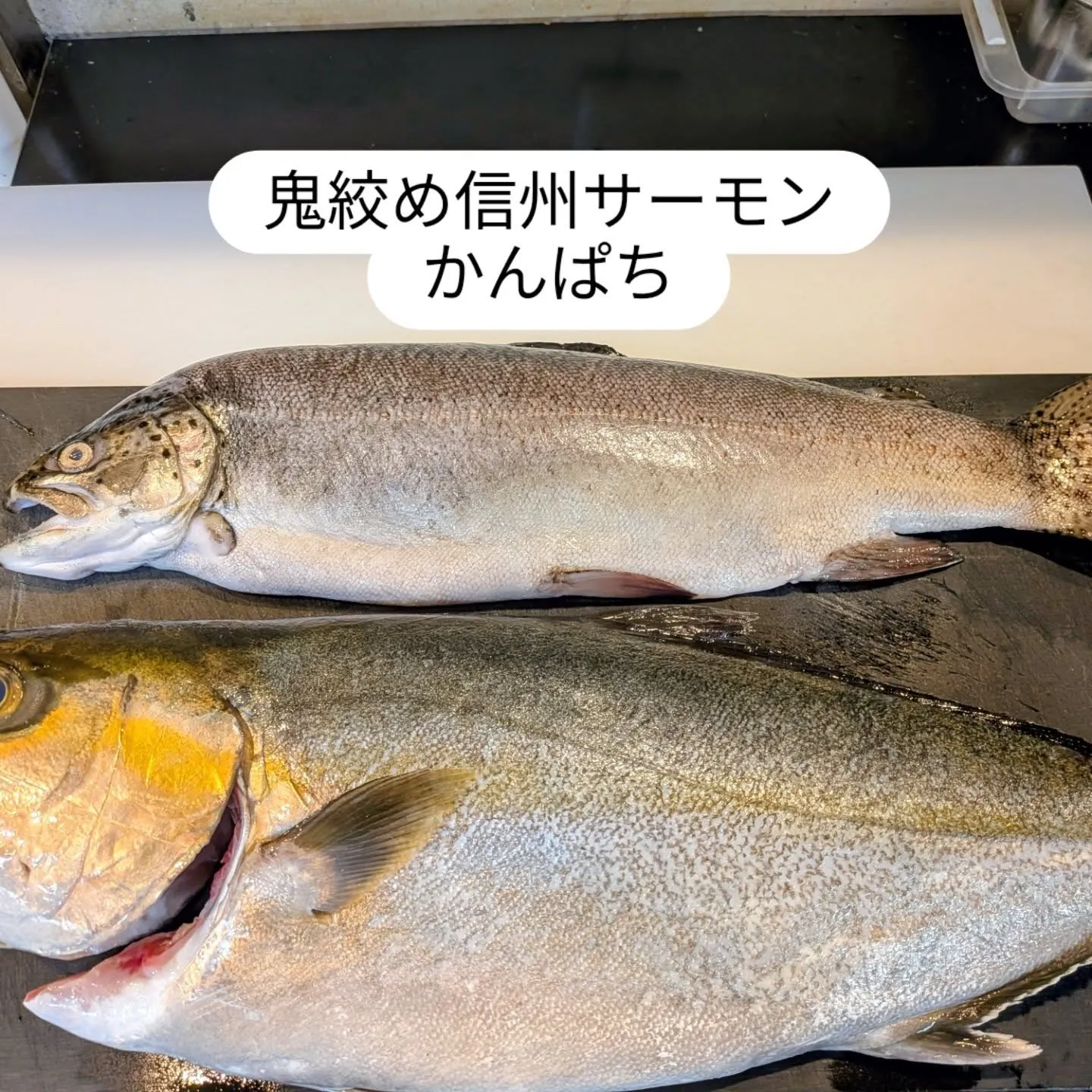 大和肉鶏　櫻原