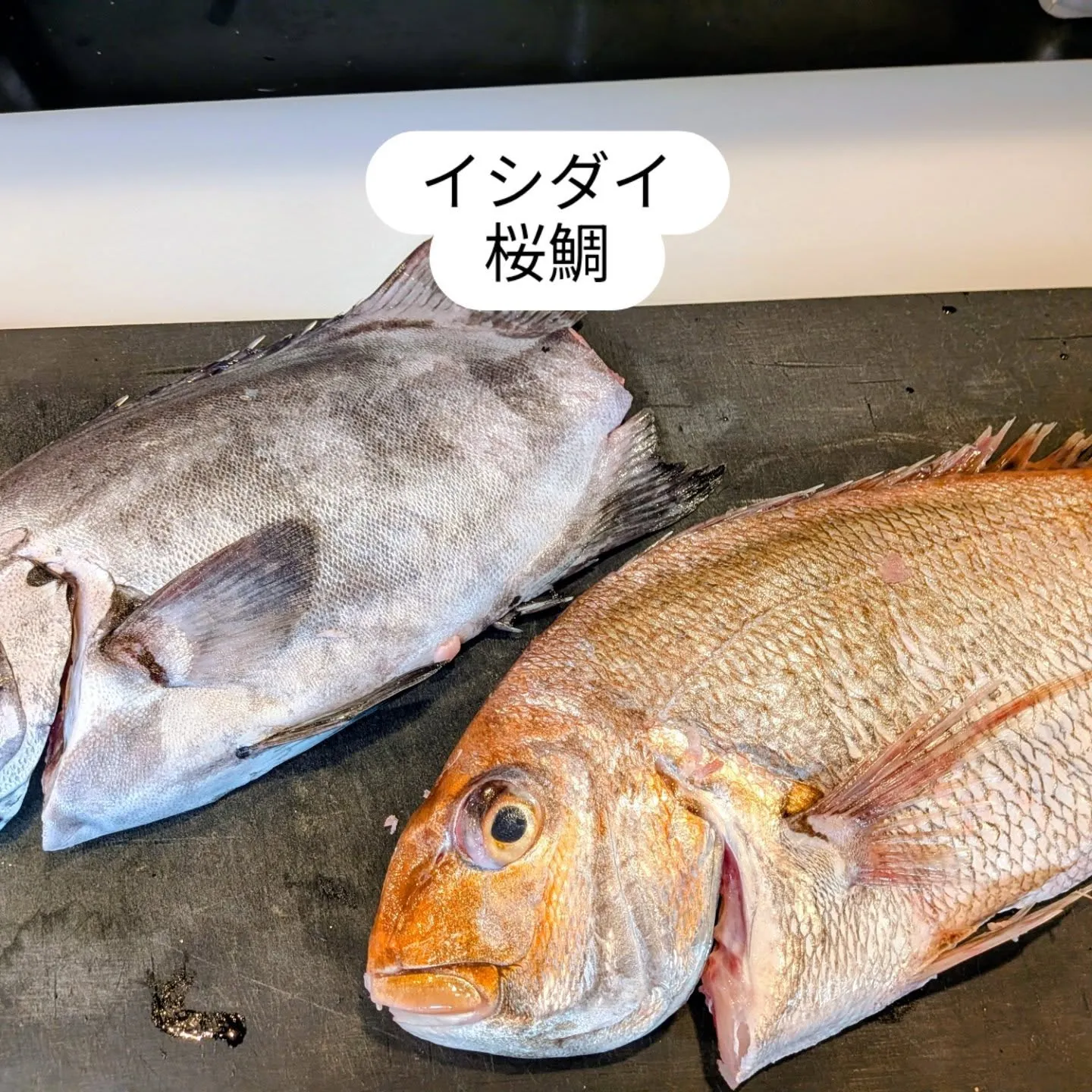 大和肉鶏　櫻原