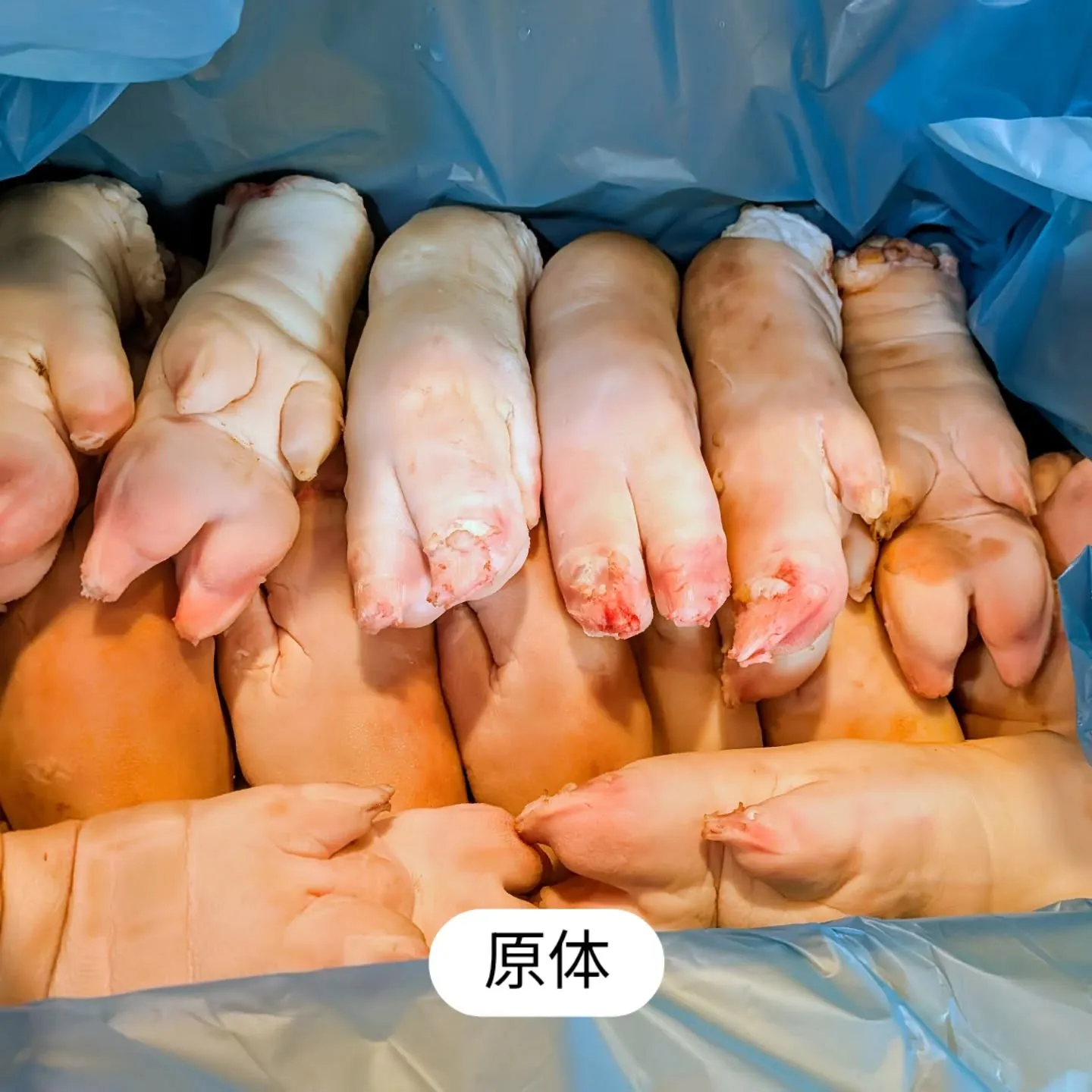 大和肉鶏　櫻原