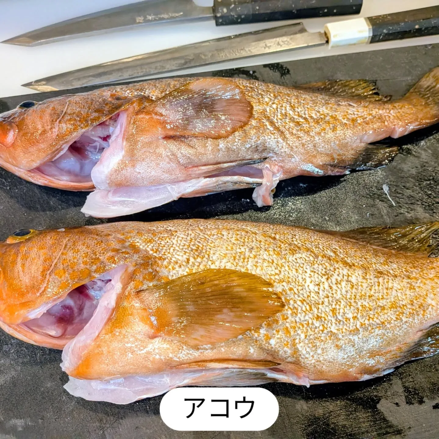 大和肉鶏　櫻原