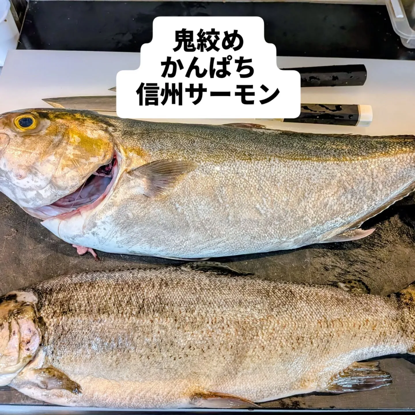 大和肉鶏　櫻原