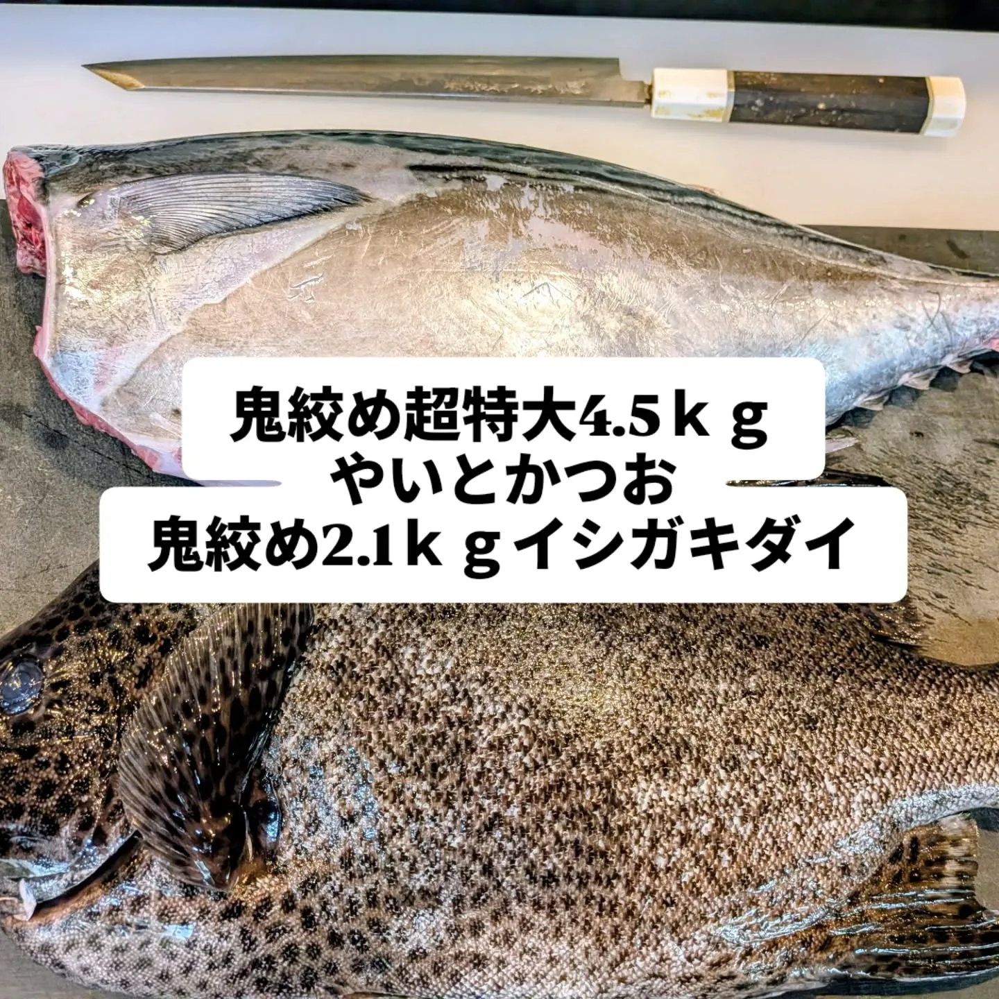 大和肉鶏　櫻原