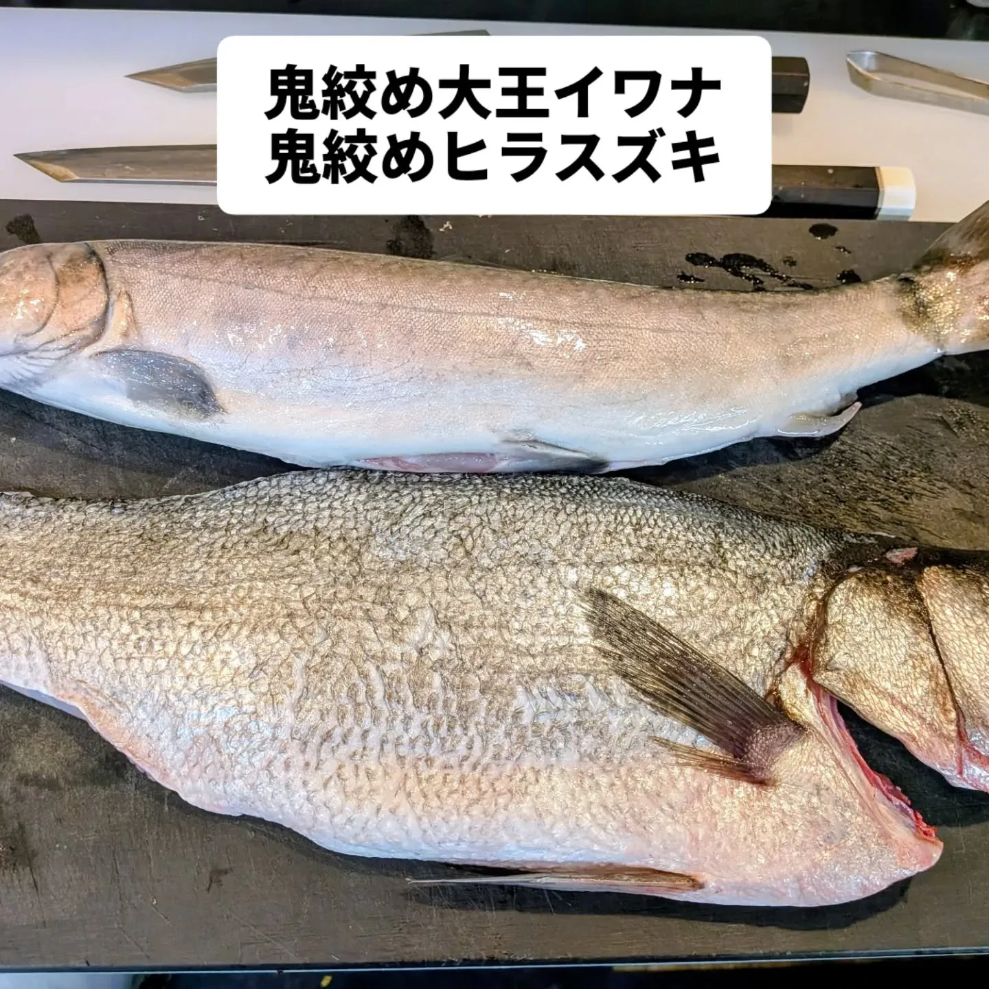 大和肉鶏　櫻原