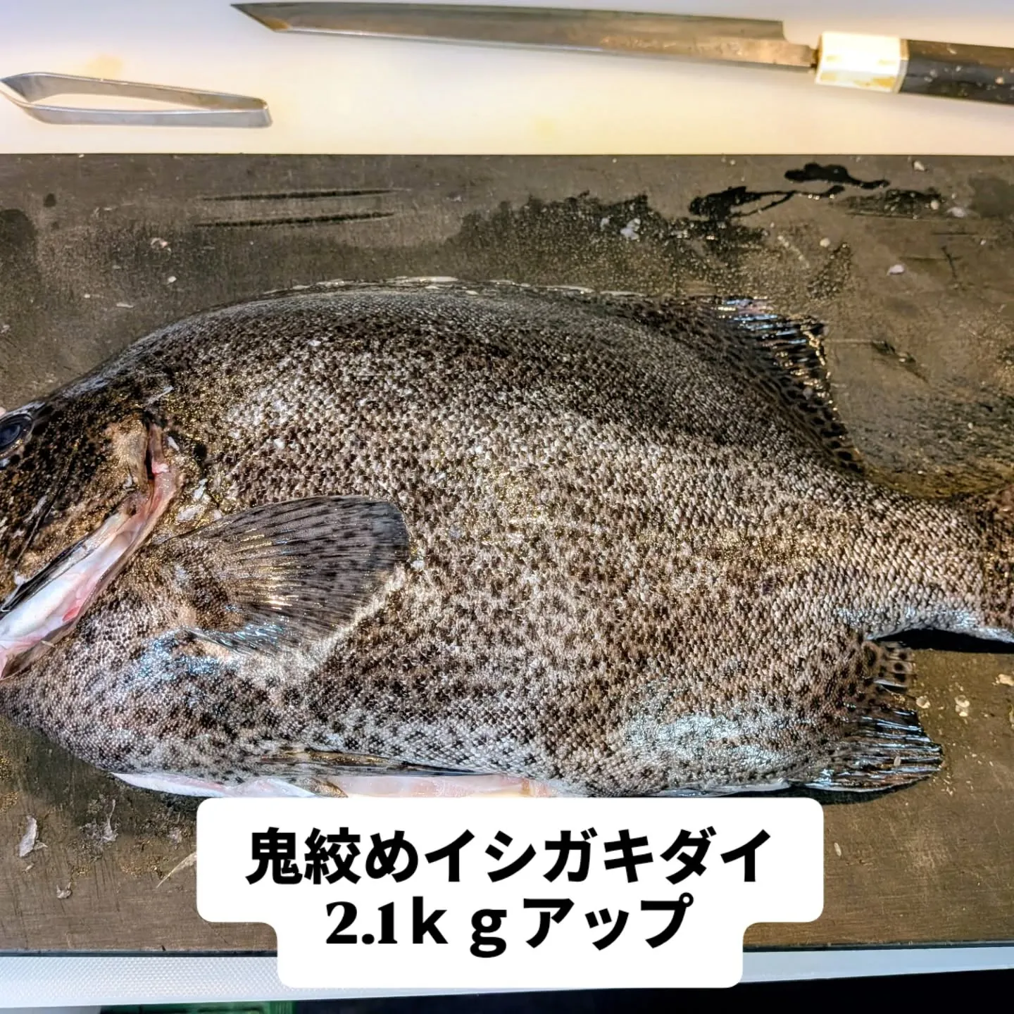 大和肉鶏　櫻原