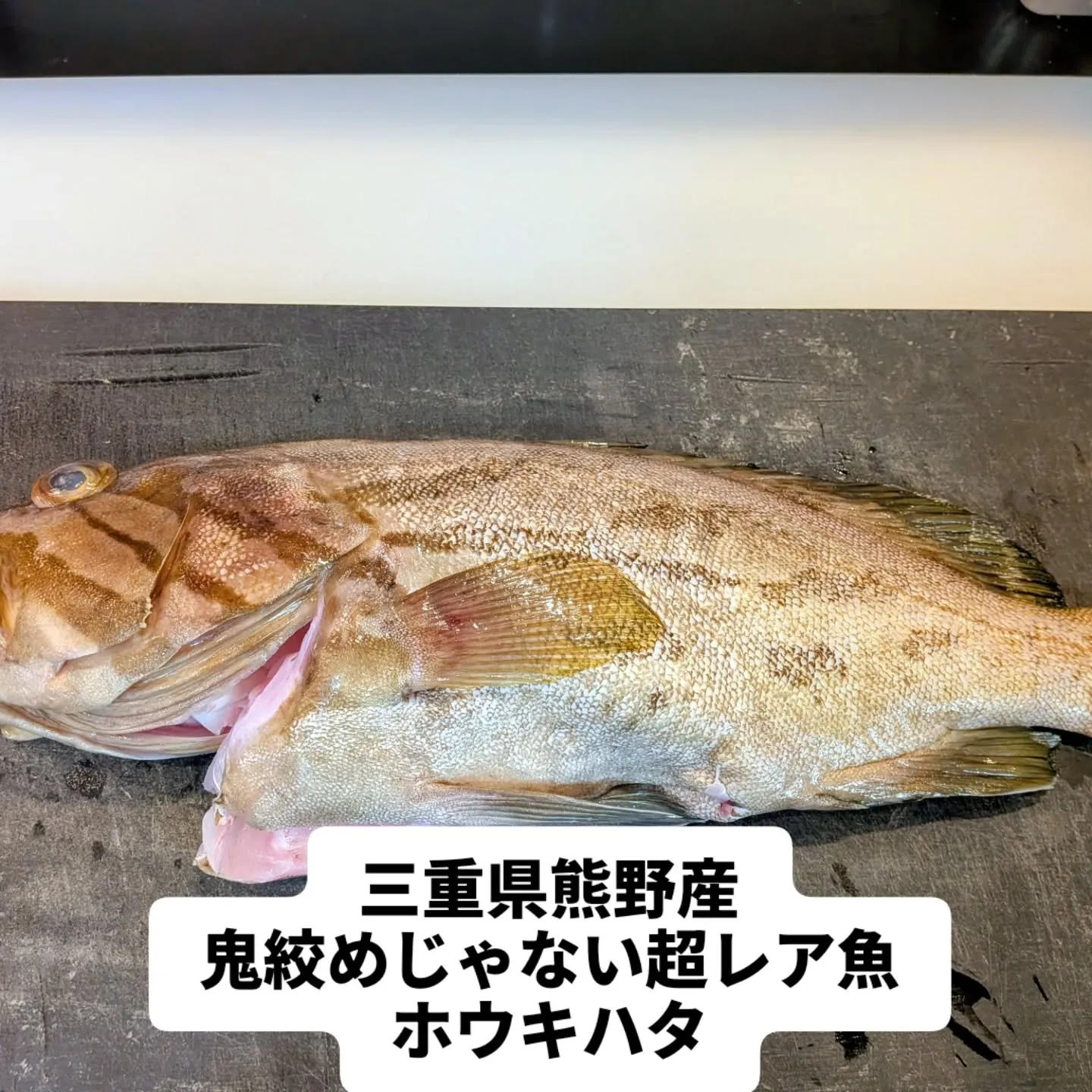 大和肉鶏　櫻原