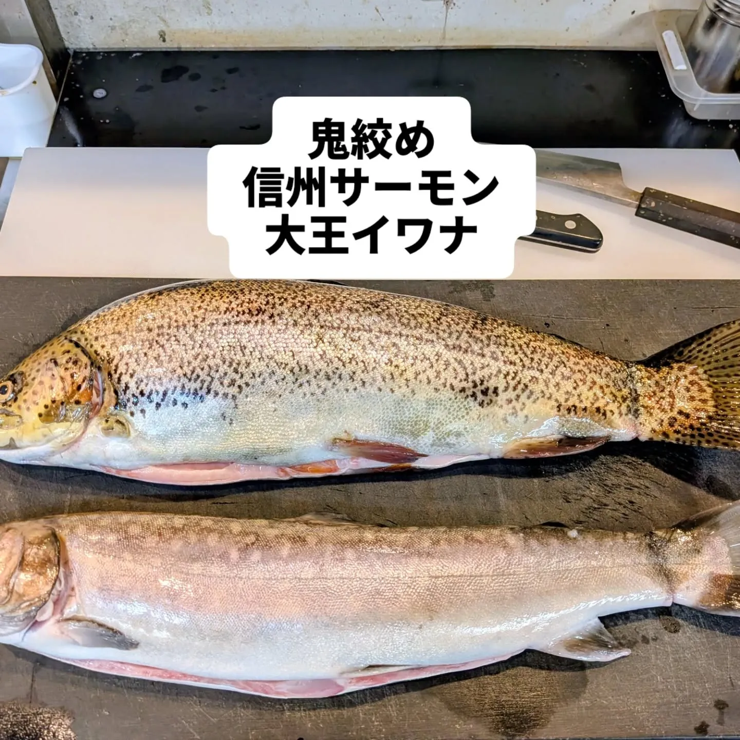 大和肉鶏　櫻原