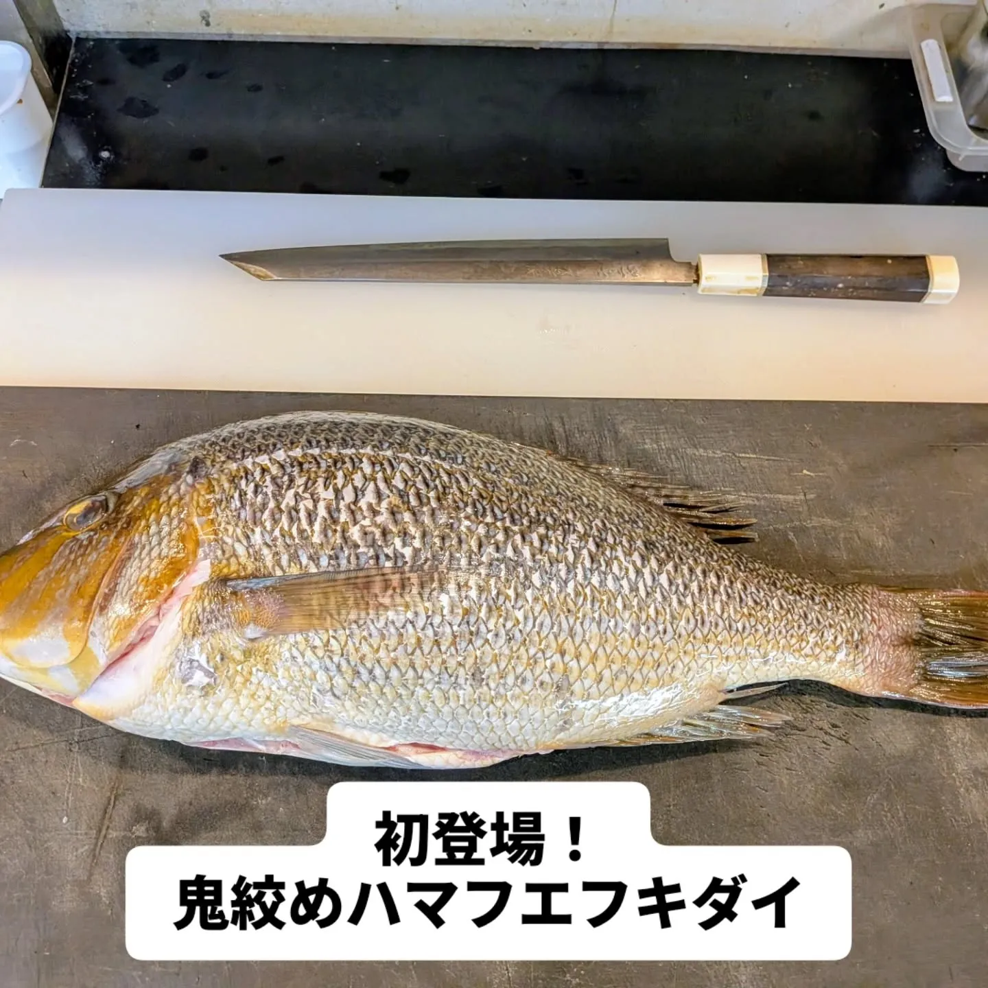 大和肉鶏　櫻原