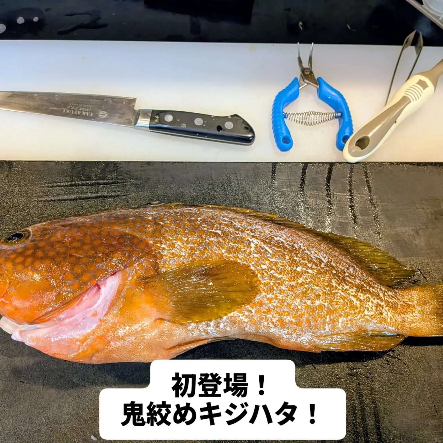 大和肉鶏　櫻原