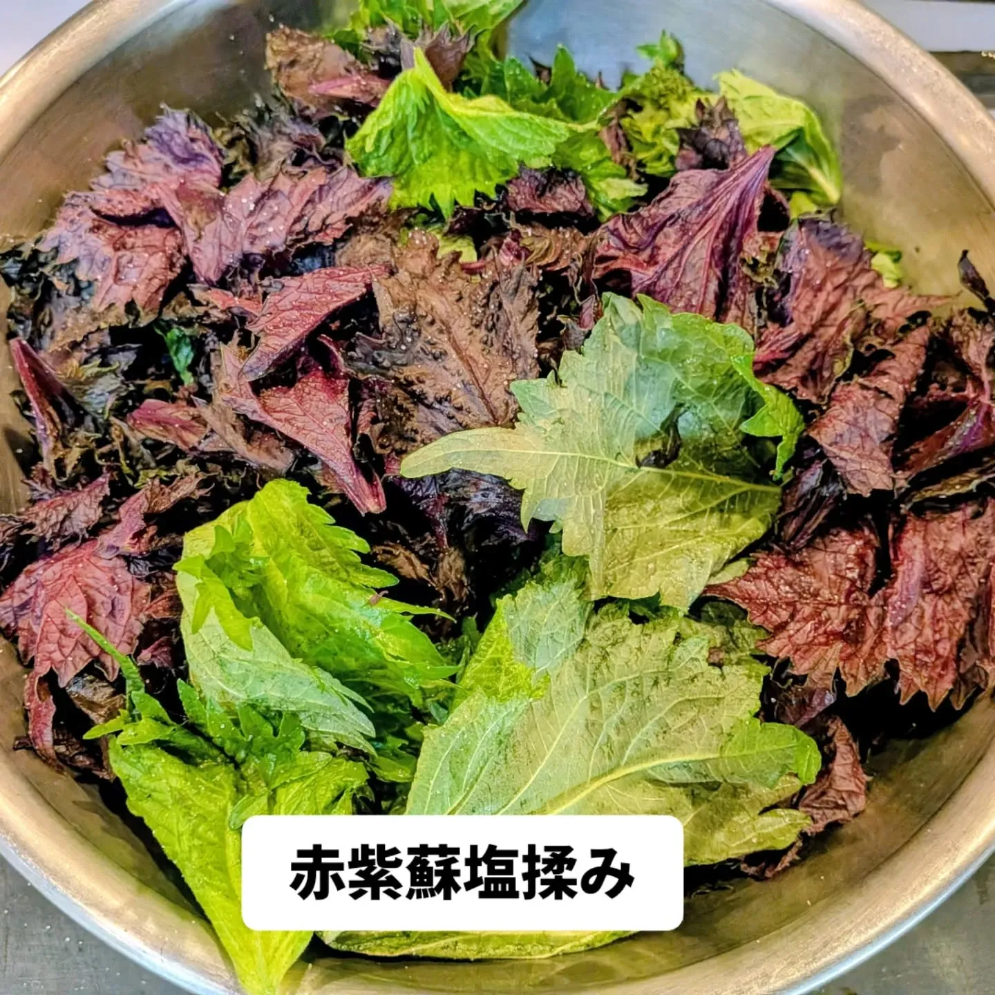 大和肉鶏　櫻原