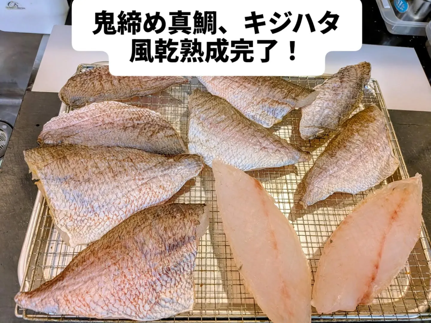 大和肉鶏　櫻原