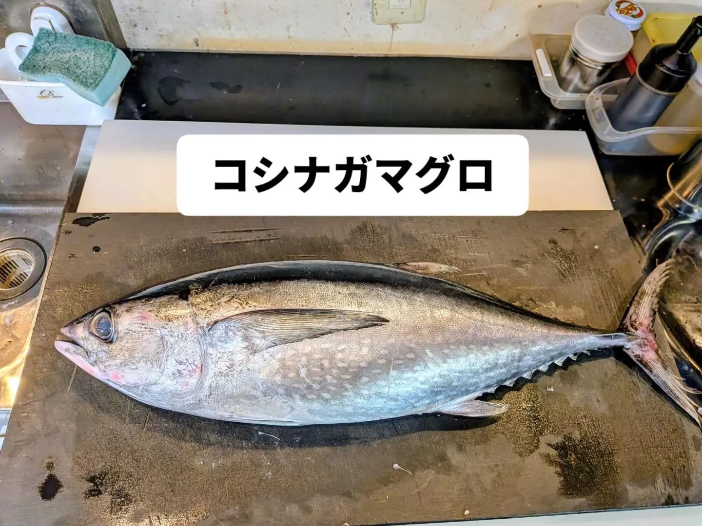 大和肉鶏　櫻原