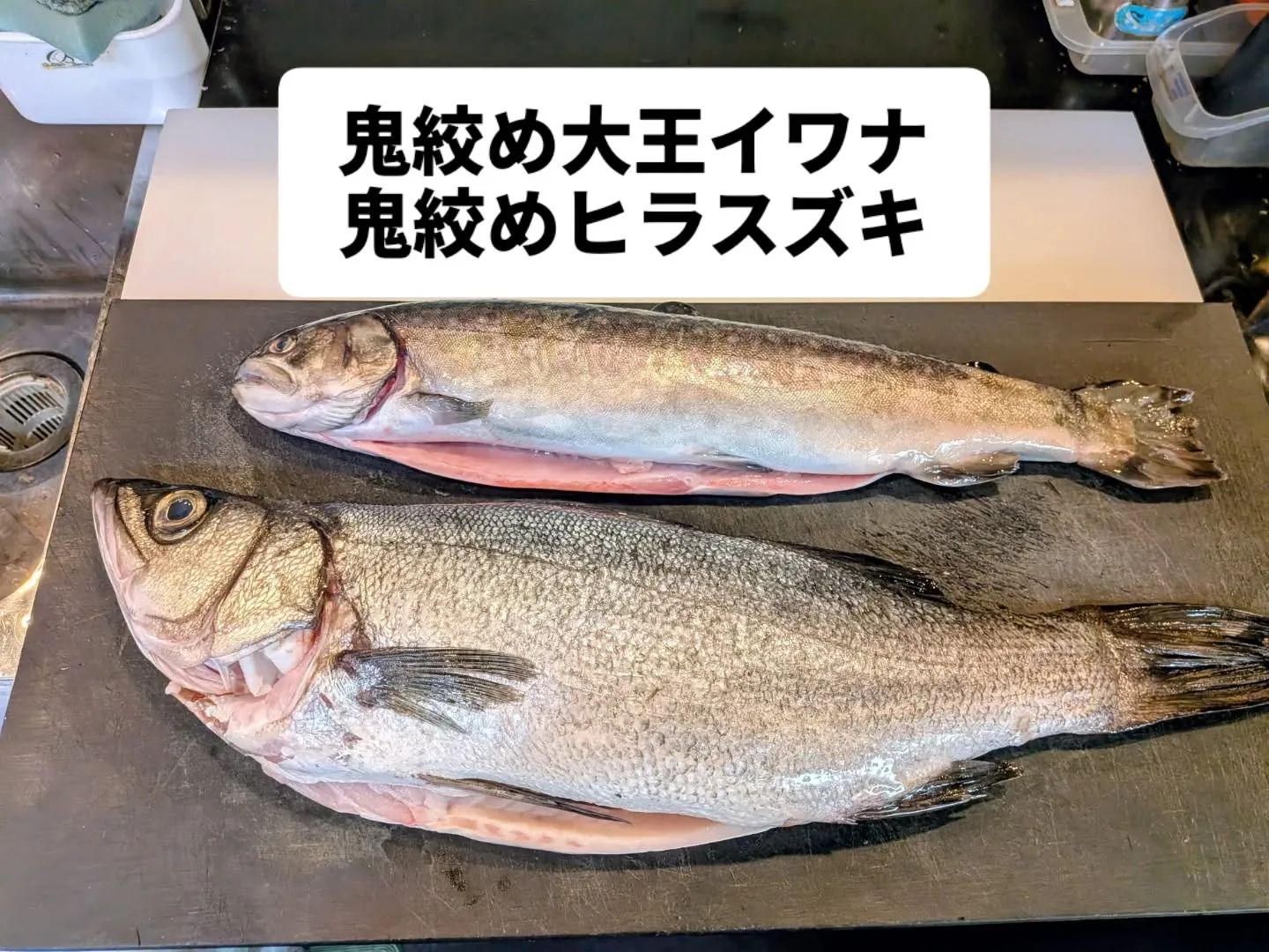 大和肉鶏　櫻原