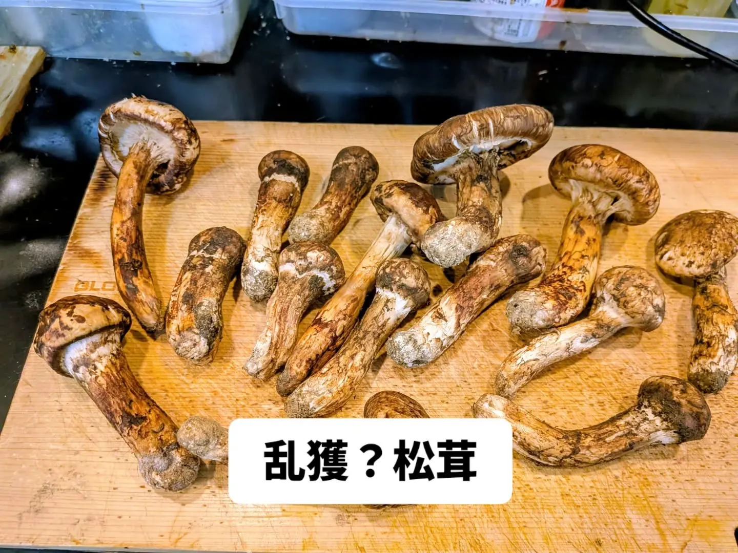 大和肉鶏　櫻原