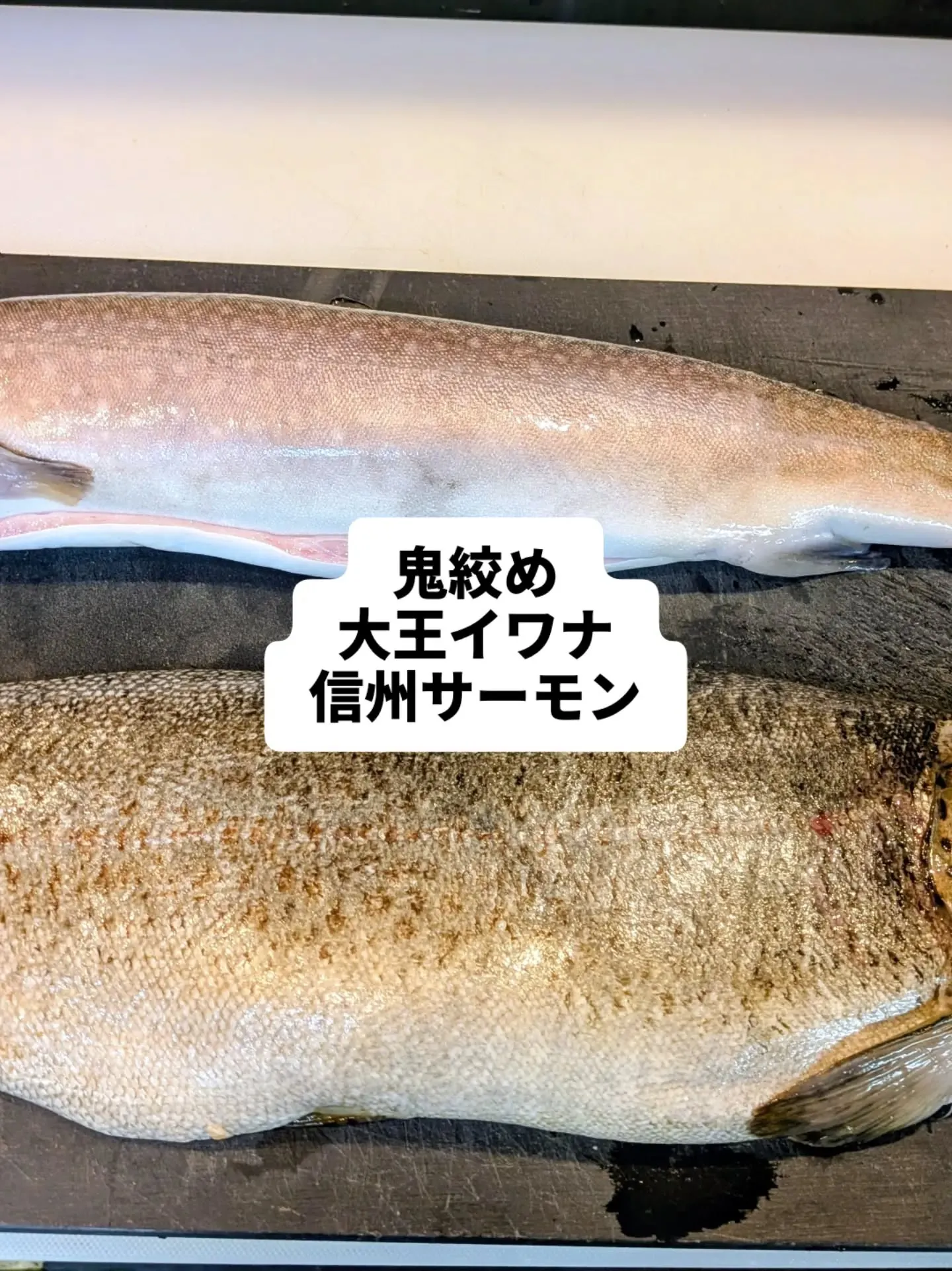 大和肉鶏　櫻原