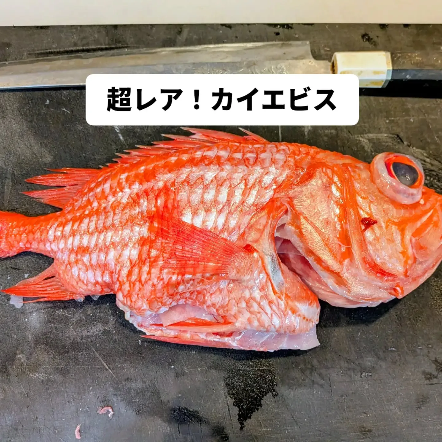 大和肉鶏 櫻原