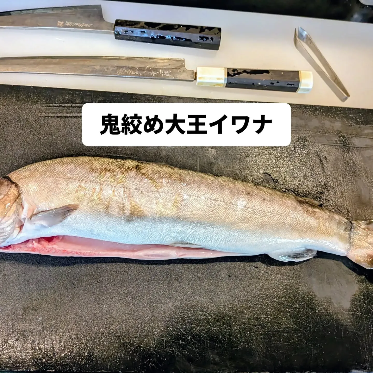 大和肉鶏　櫻原