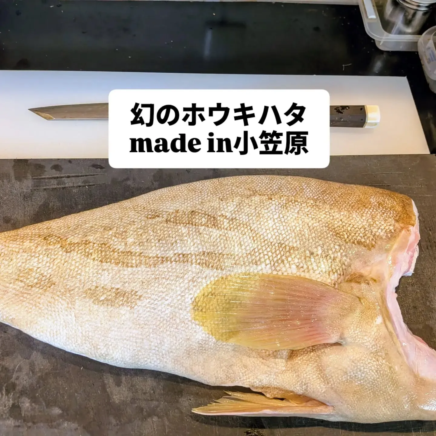 大和肉鶏　櫻原