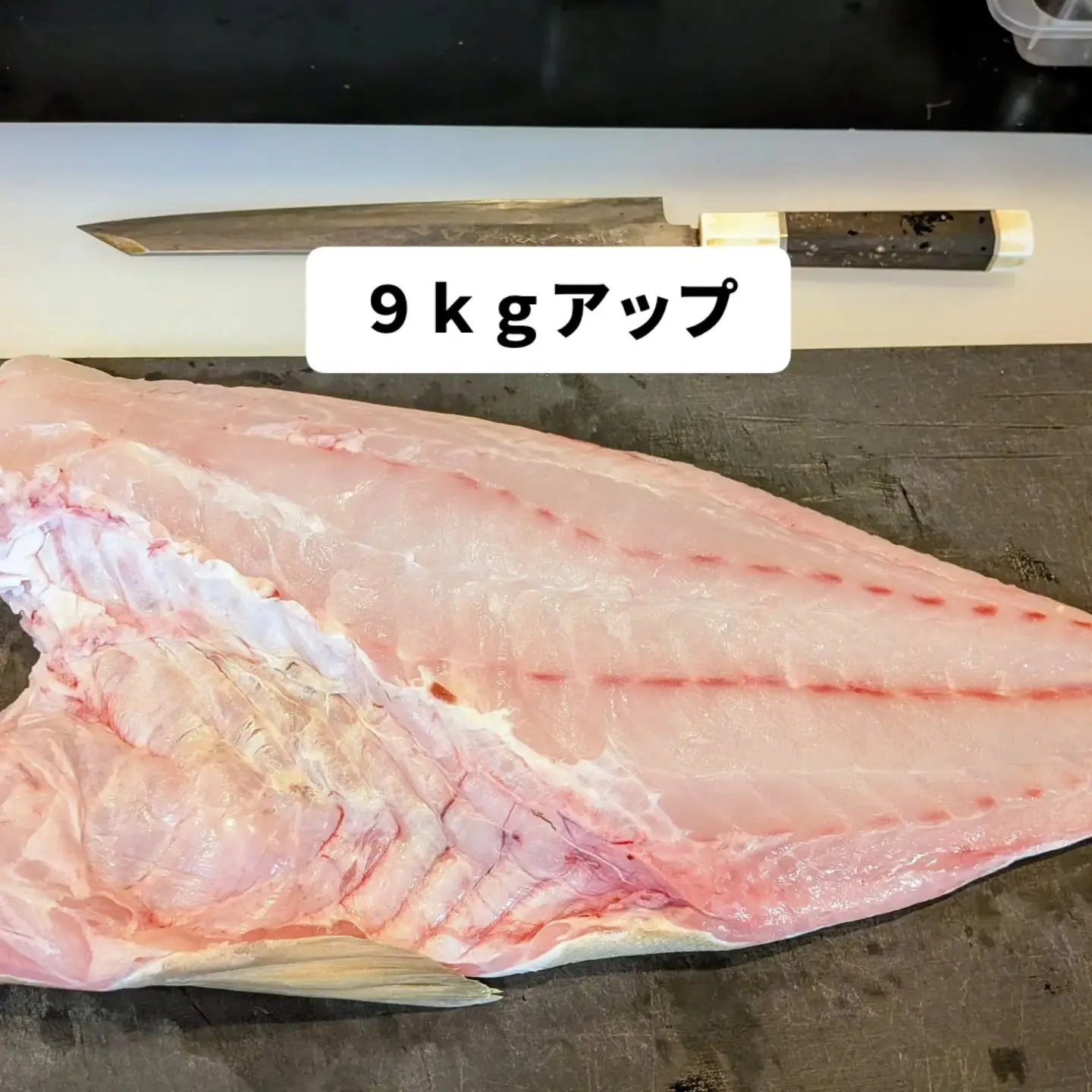 大和肉鶏　櫻原